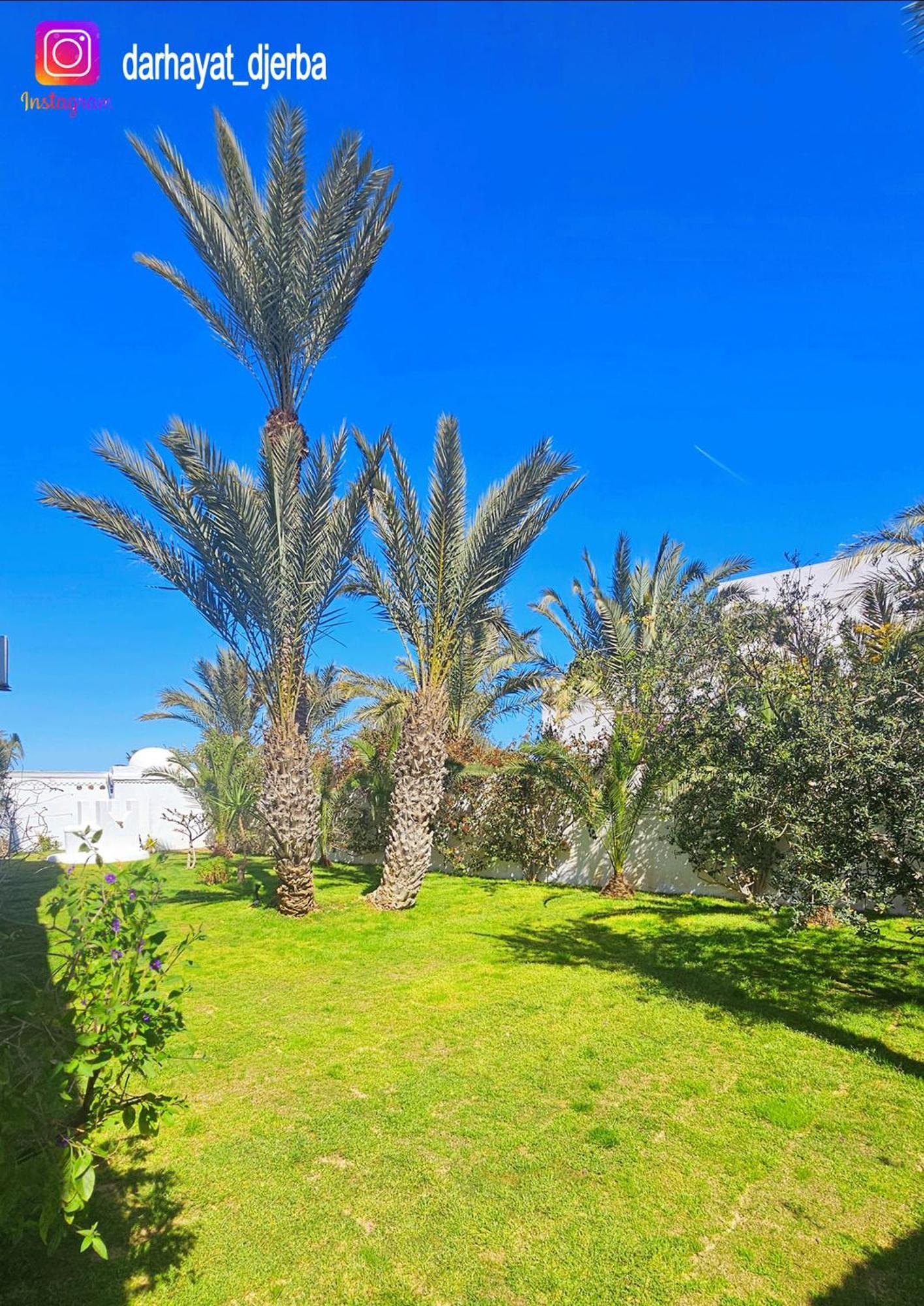 Vila Dar Hayat Triffa Exteriér fotografie